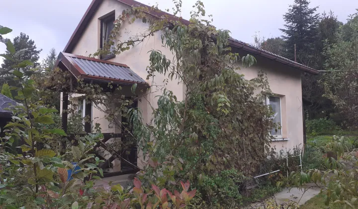 Działka rod Racibórz Brzezie, ul. Brzeska