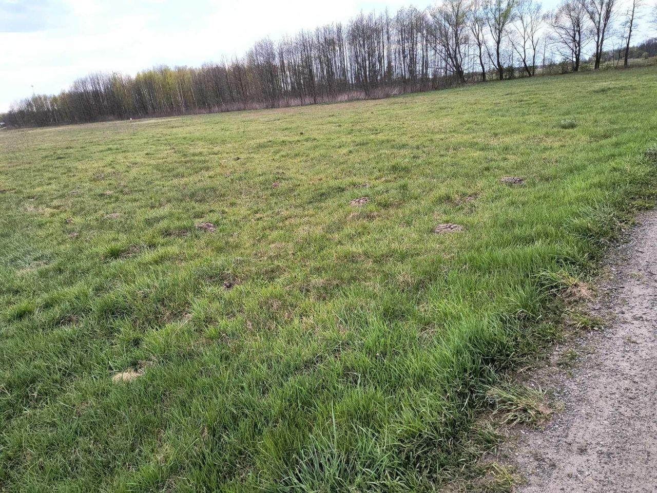 Działka budowlana Krubki-Górki. Zdjęcie 4