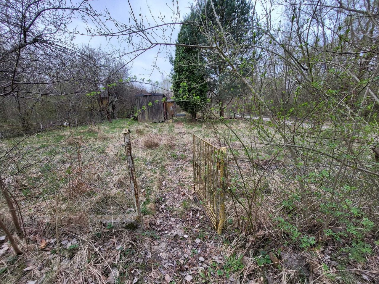 Działka rod Kielce. Zdjęcie 4