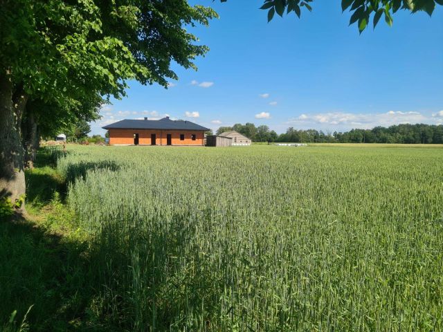 Działka budowlana Chąśno. Zdjęcie 1