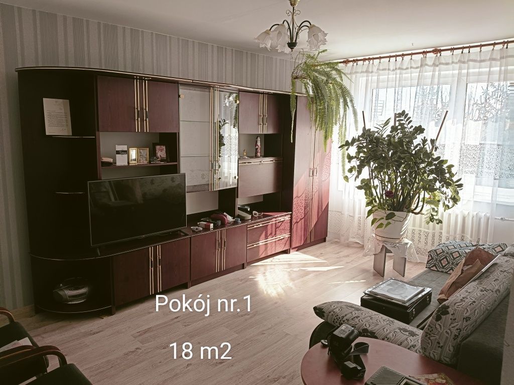 Mieszkanie 4-pokojowe Szestno