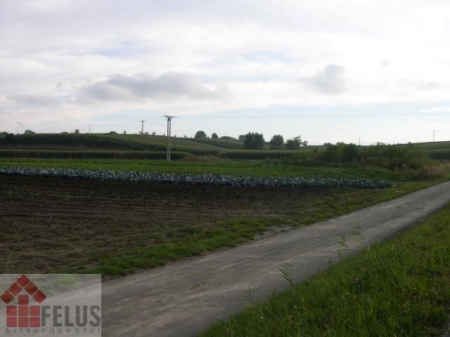 Działka budowlana Proszowice Podgórze. Zdjęcie 6