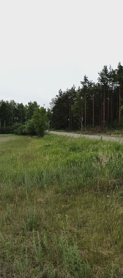 Działka budowlana Rzywno. Zdjęcie 1