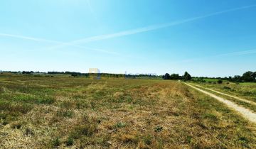Działka rolno-budowlana Radomice, ul. Żytnia