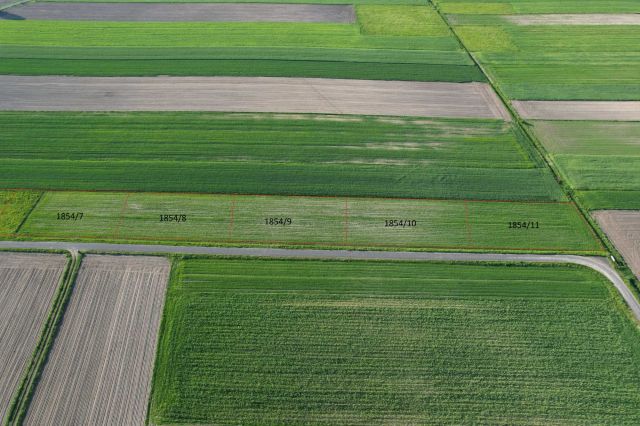 Działka rolno-budowlana Rusiec Rusiec-Kolonia. Zdjęcie 1