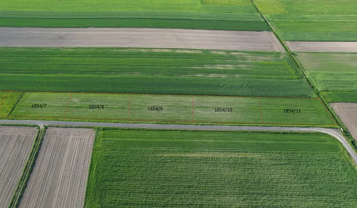 Działka rolno-budowlana Rusiec Rusiec-Kolonia