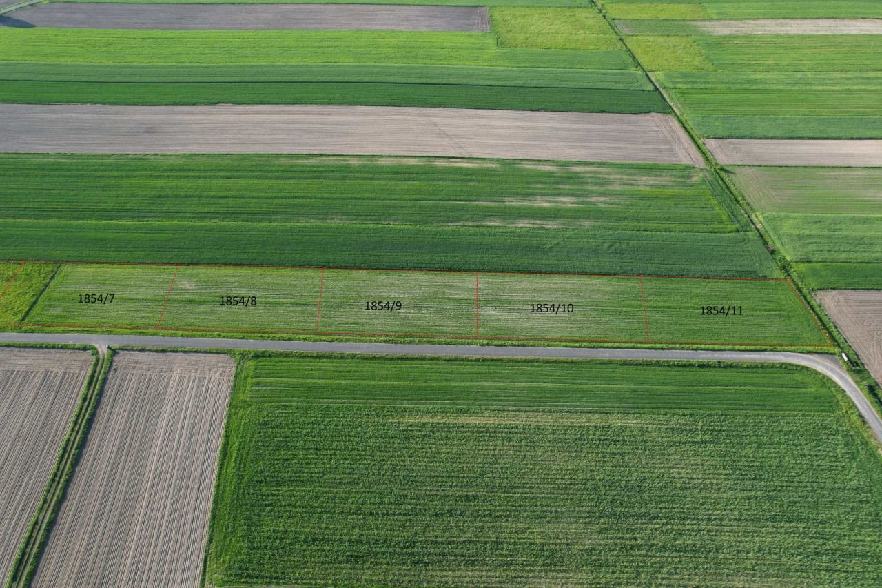 Działka rolno-budowlana Rusiec Rusiec-Kolonia. Zdjęcie 1