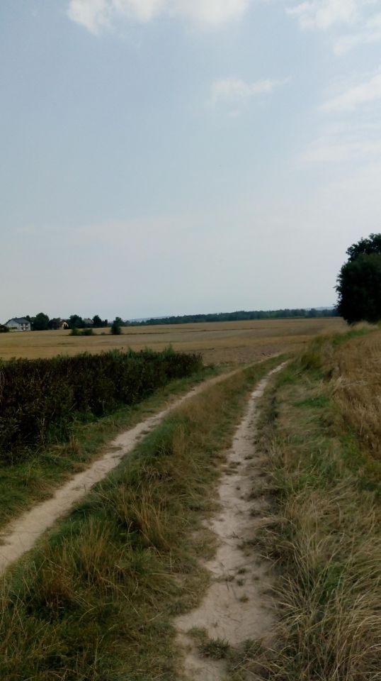 Działka rolna Władysław Doły. Zdjęcie 5