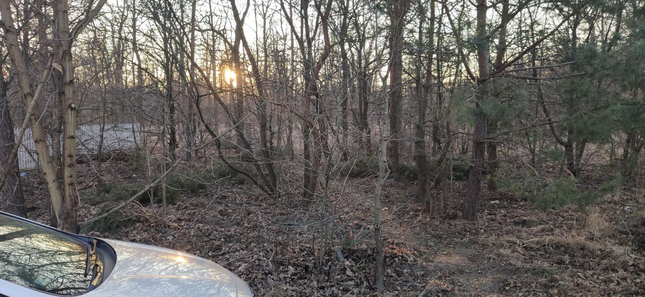 Działka leśna Warszawa Białołęka, ul. Insurekcji. Zdjęcie 5