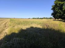 Działka budowlana Radzewice. Zdjęcie 1