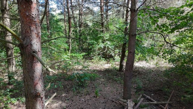 Działka budowlana Kady. Zdjęcie 13