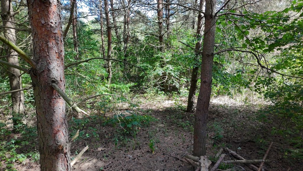 Działka budowlana Kady. Zdjęcie 13