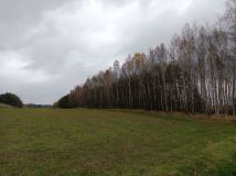 Działka rolna Antoniki