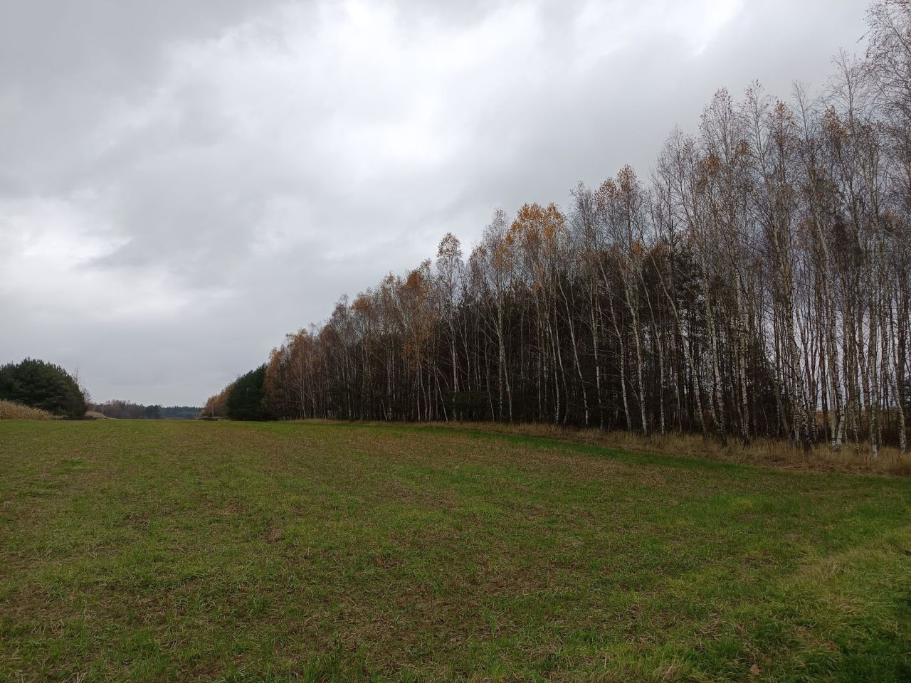 Działka rolna Antoniki