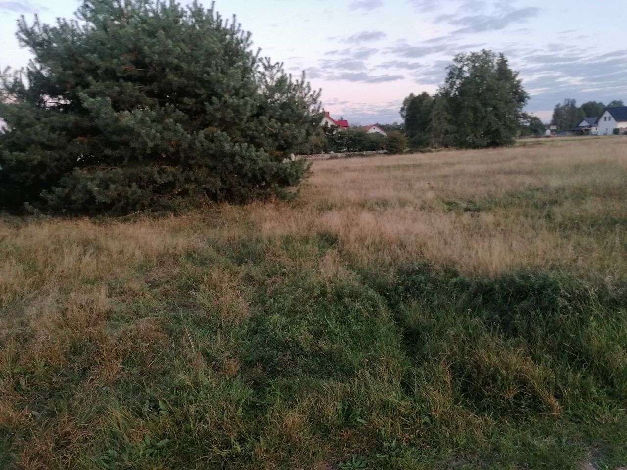 Działka budowlana Chojne. Zdjęcie 1