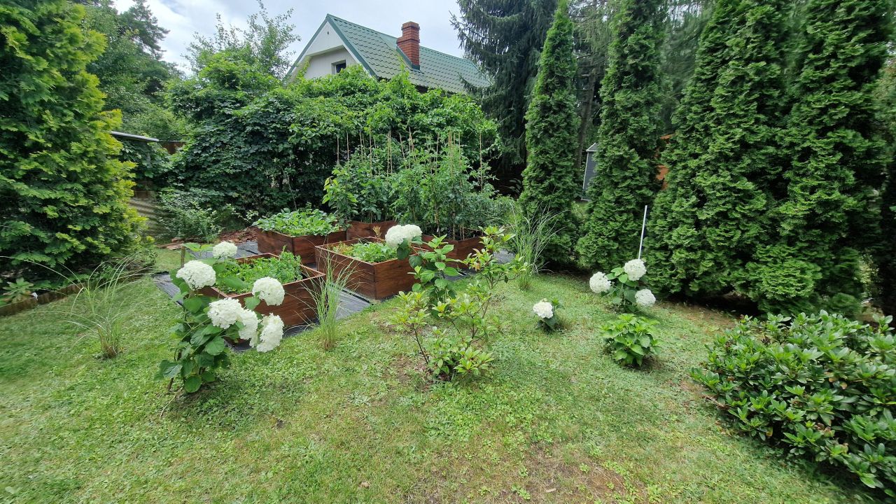 Działka rod Wagowo Wiśniewo, Wagowo 30. Zdjęcie 10