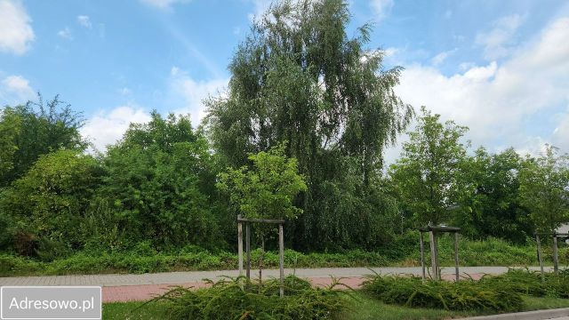Działka rolno-budowlana Kostrzyn, ul. Prymasa Wyszyńskiego. Zdjęcie 1