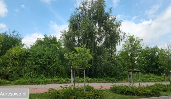 Działka rolno-budowlana Kostrzyn, ul. Prymasa Wyszyńskiego