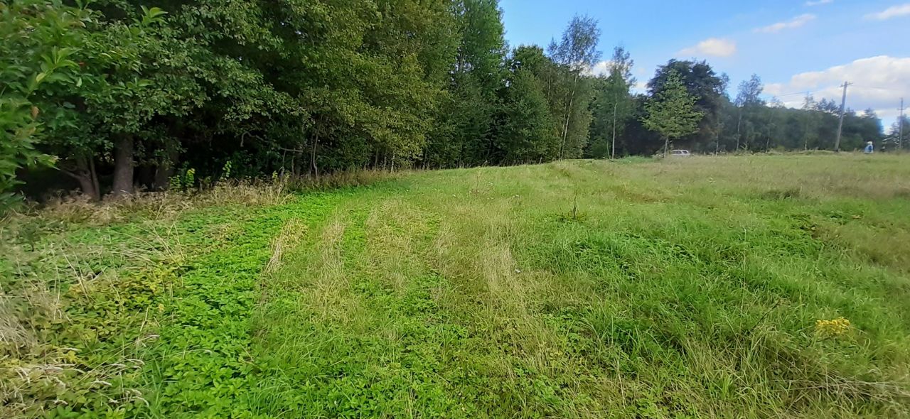 Działka rekreacyjna Boćwinka. Zdjęcie 13