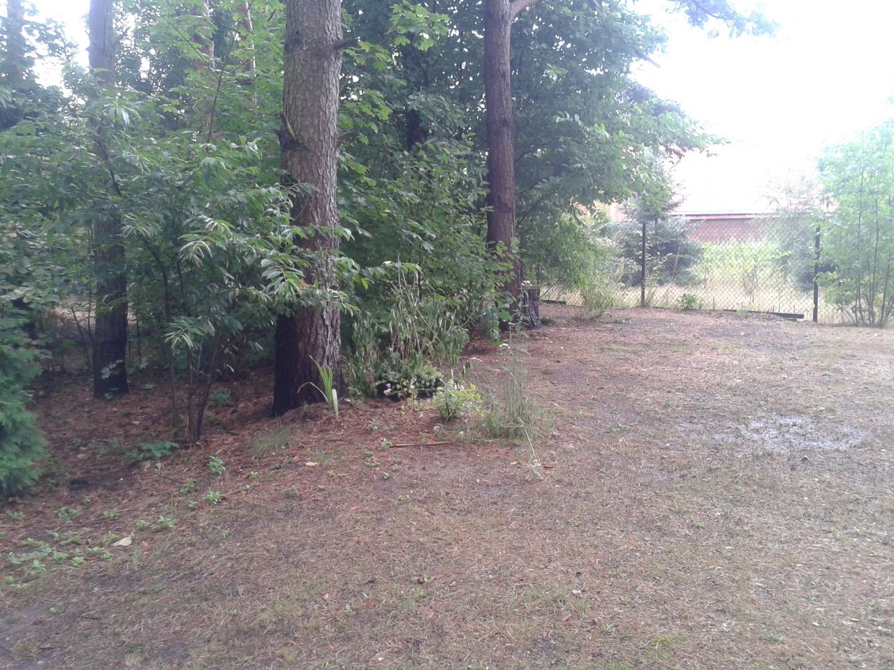 Działka rekreacyjna Zambski Kościelne. Zdjęcie 7