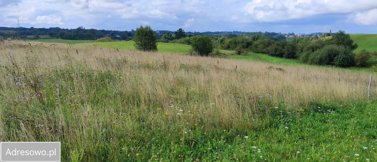 Działka rolna Tłokowo. Zdjęcie 9