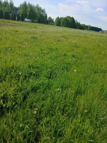 Działka rolno-budowlana Jedlicze Męcinka, ul. Jesionowa. Zdjęcie 1