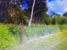 Działka budowlana Rozpędziny. Zdjęcie 4