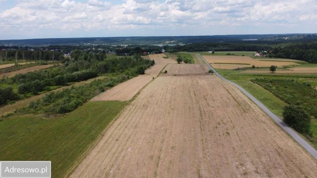 Działka inwestycyjna Dąbrowa. Zdjęcie 1