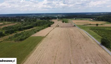 Działka na sprzedaż bez pośredników 
 
 ul. Ostrowiecka 
 
 Krynki Krynki Duże - Widok 5