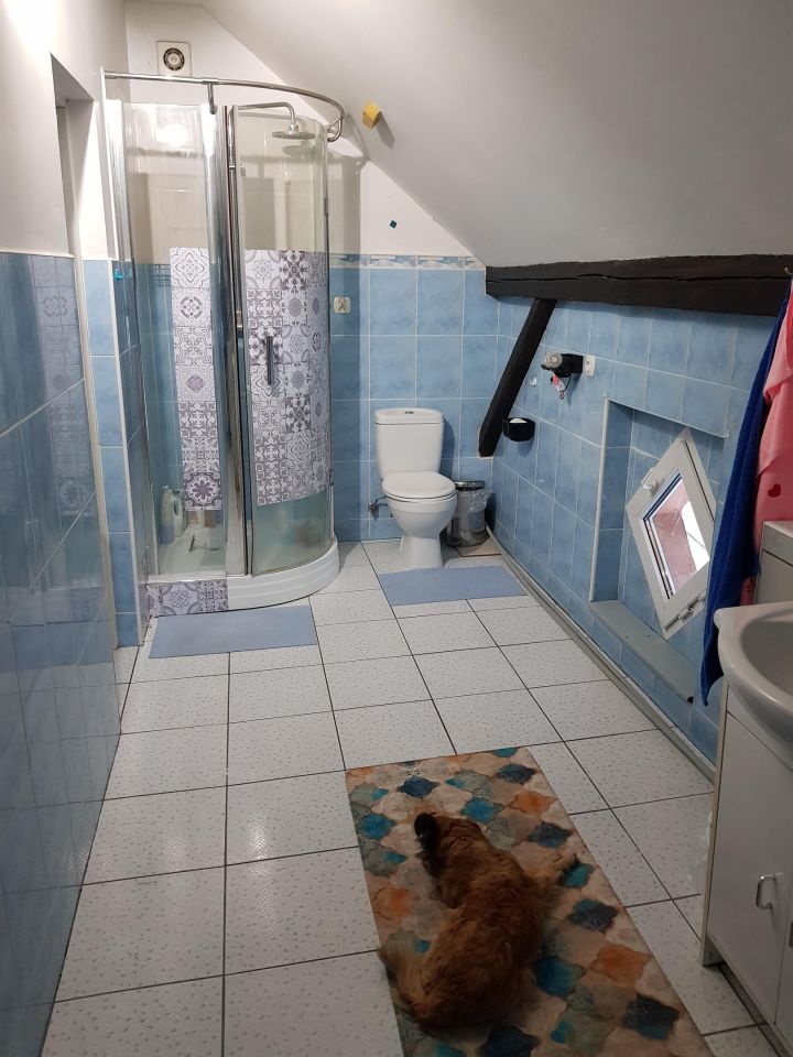 dom wolnostojący, 7 pokoi Chocieszów. Zdjęcie 23