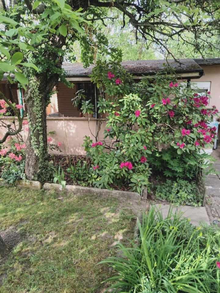 Działka rod Poznań, ul. Czechosłowacka