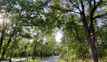 Działka budowlana Sokolniki-Las, ul. Prezydenta Gabriela Narutowicza