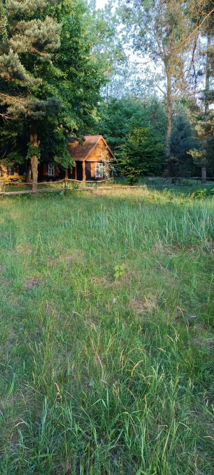 Działka rekreacyjna Zambski Kościelne. Zdjęcie 2