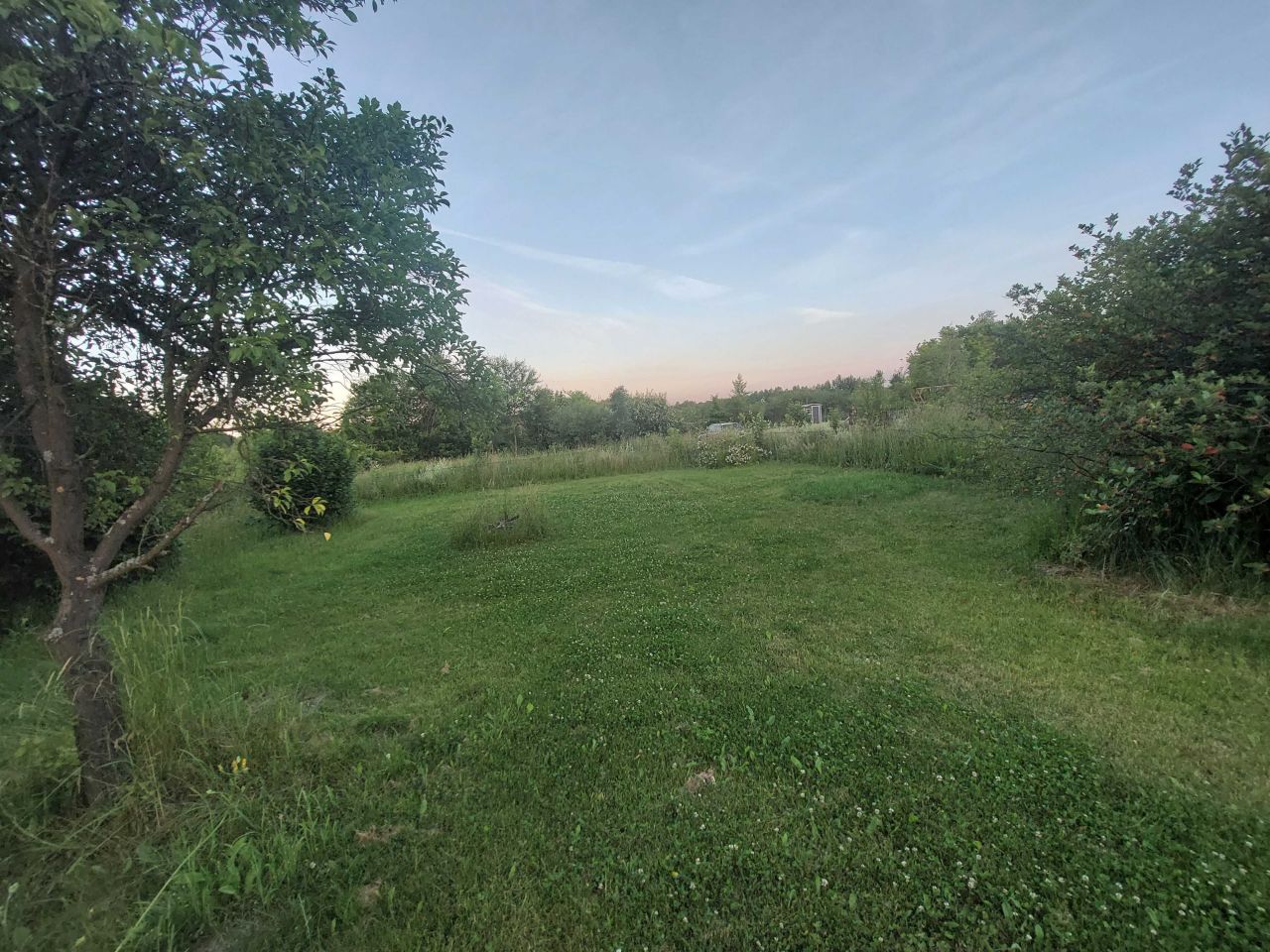 Działka rod Domaszowice. Zdjęcie 5