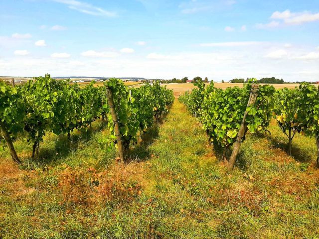 dom wolnostojący, 3 pokoje Bukowska Wola. Zdjęcie 29