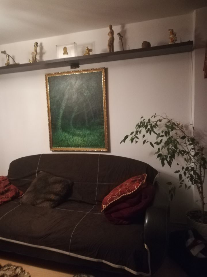 Mieszkanie 3-pokojowe Świętochłowice Piaśniki, ul. Chorzowska. Zdjęcie 11