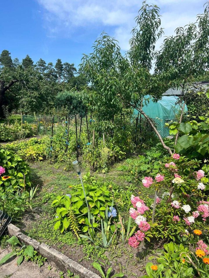 Działka rod Zielona Góra. Zdjęcie 8