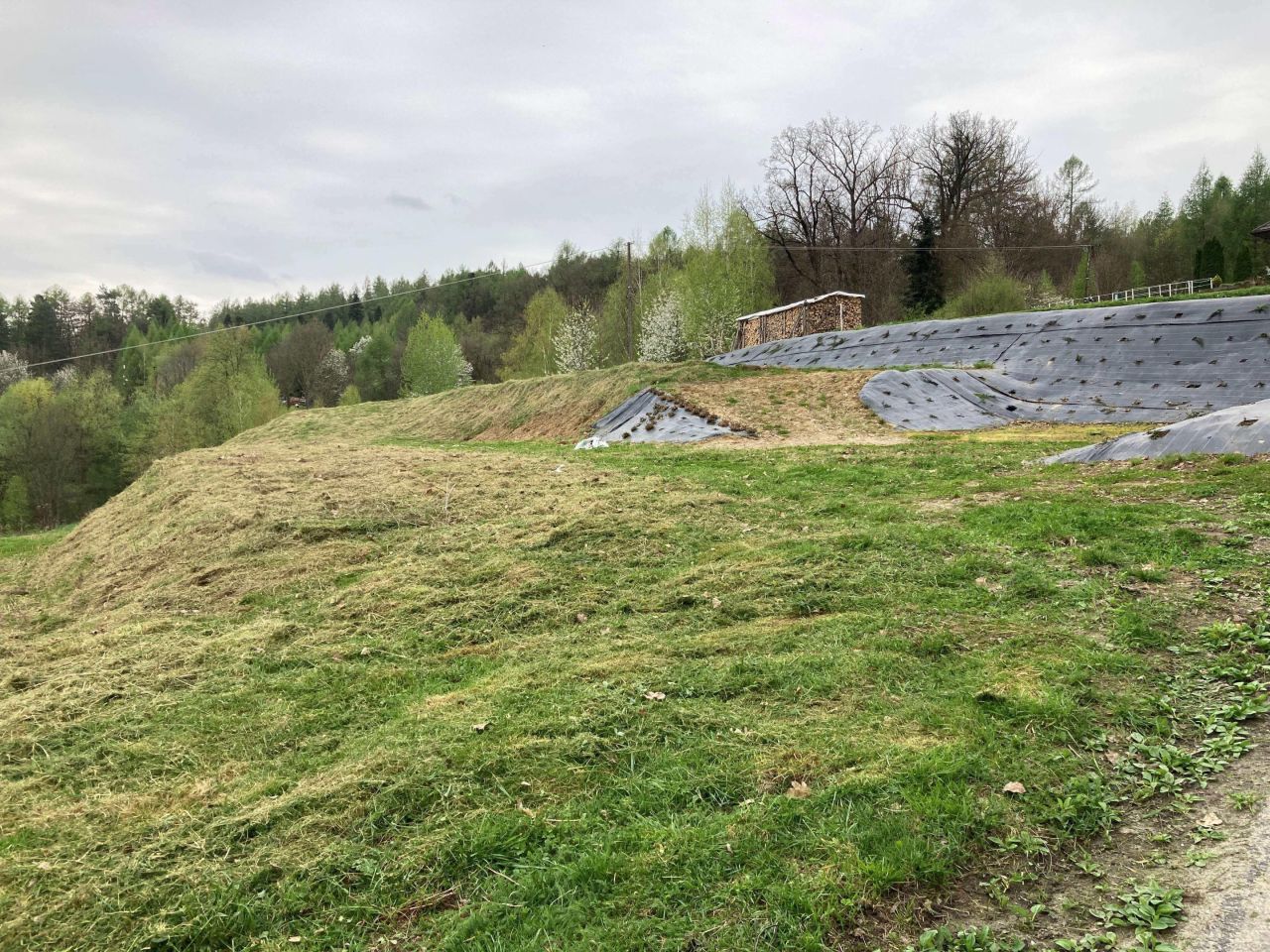 Działka rolno-budowlana Przedmieście Czudeckie Zawisłocze. Zdjęcie 12