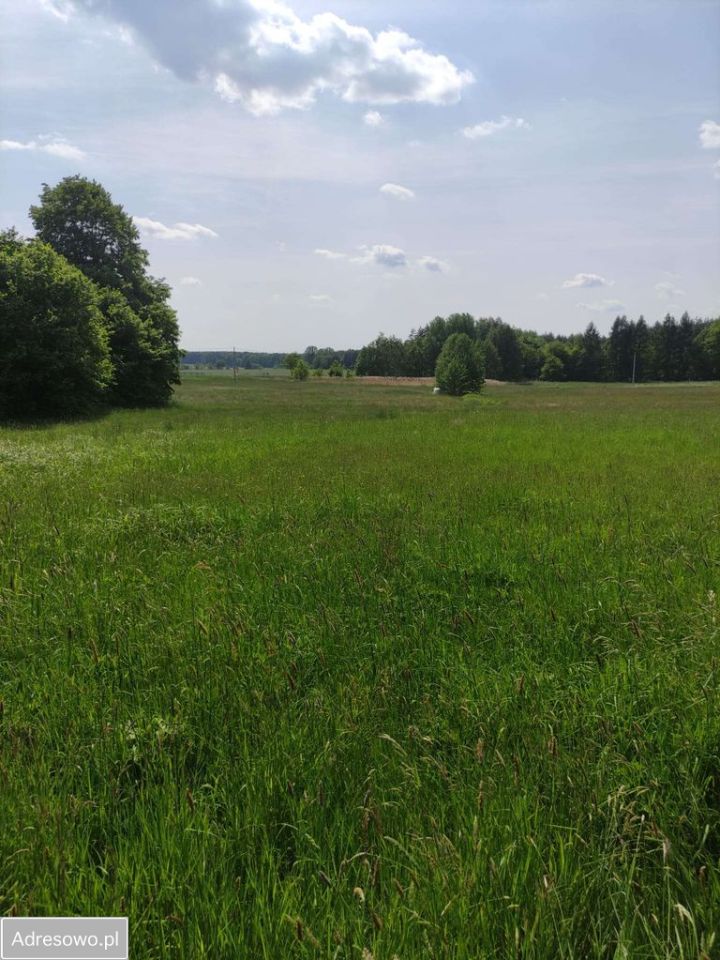 Działka rolna Osiecko. Zdjęcie 13