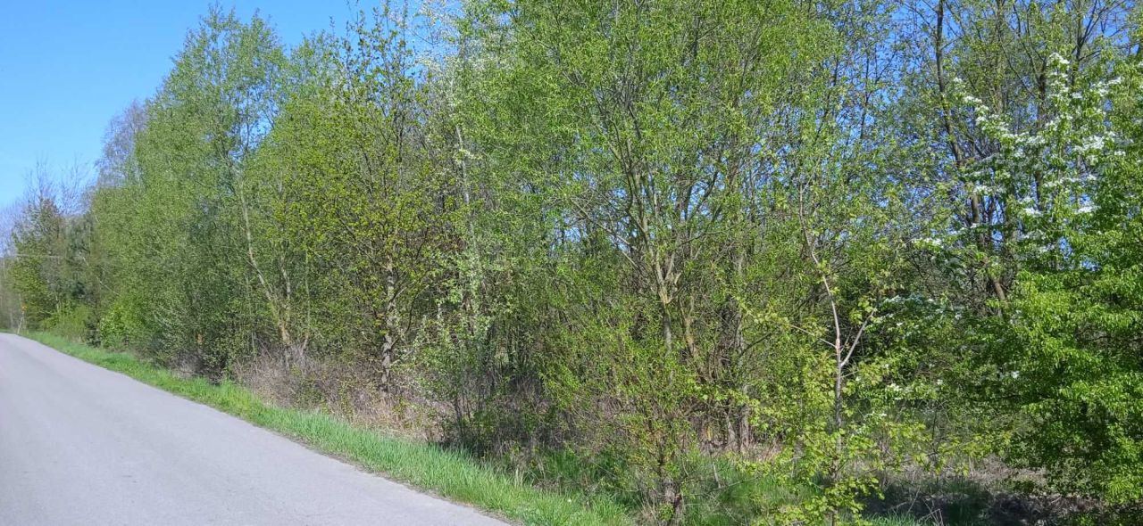 Działka budowlana Brodowo. Zdjęcie 3