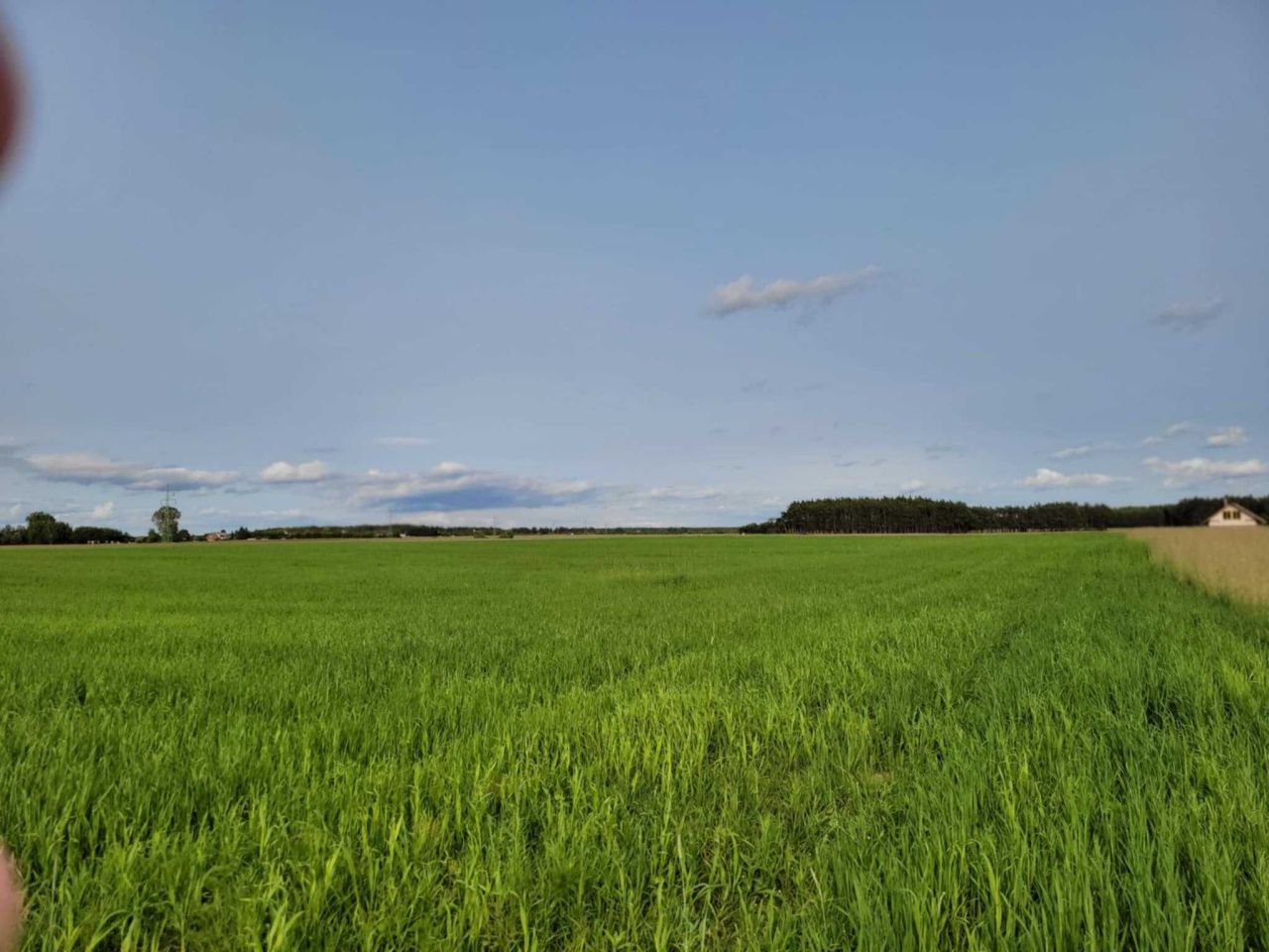 Działka budowlana Nowy Sumin. Zdjęcie 3