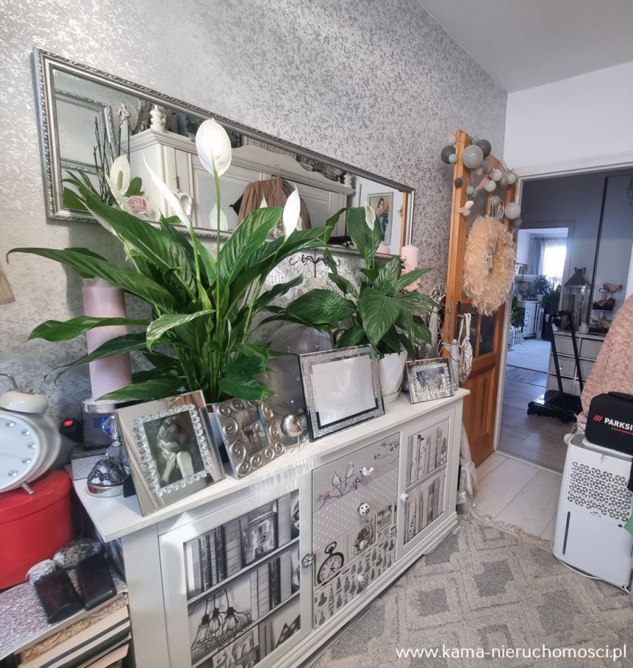 Mieszkanie 3-pokojowe Jelenia Góra Cieplice Śląskie-Zdrój. Zdjęcie 6