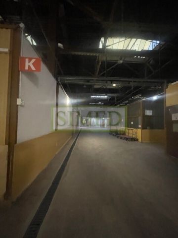 Hala/magazyn Warszawa Bielany. Zdjęcie 4