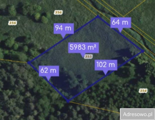 Działka rolna Ruda Żurawiecka. Zdjęcie 1