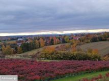 dom wolnostojący, 4 pokoje Żerkowice. Zdjęcie 1