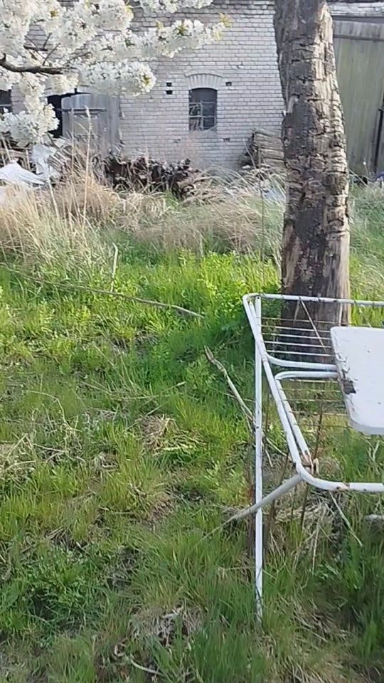 gospodarstwo, 3 pokoje Brudzewice. Zdjęcie 6