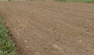 Działka budowlana Zalesie