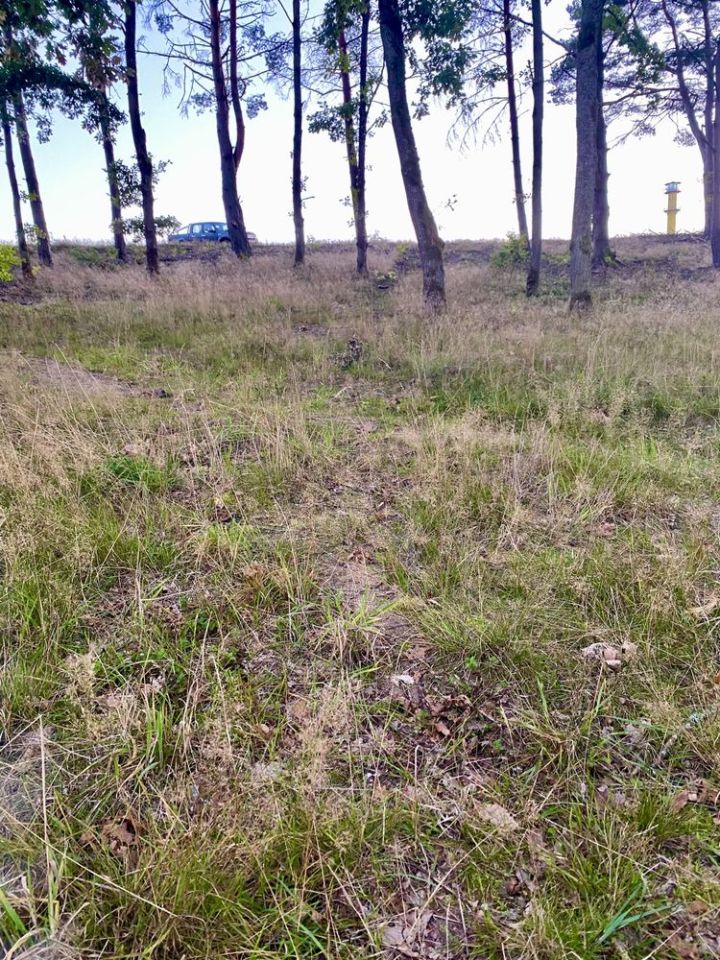 Działka rekreacyjna Spore. Zdjęcie 7