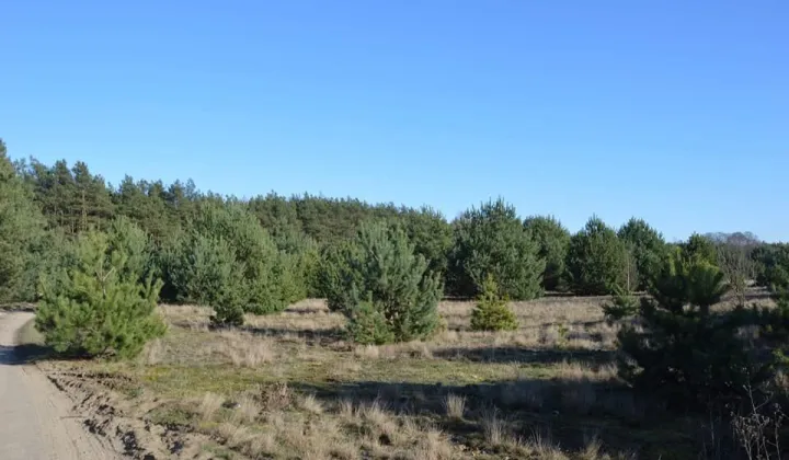 Działka budowlana Gąsiorowo