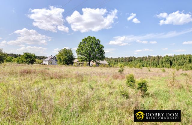 Działka budowlana Białowieża. Zdjęcie 3